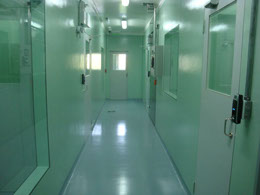 SENACSA PARAGUAY BIOSEGURIDAD LABORATORIO SAS QUIMICO AUTOCLAVE PUERTAS HERMETICAS PASSTHROUGH PLANTA DE EFLUENTES