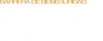 BARRERA DE BIOSEGURIDAD
Los autoclaves desarrollados por SCI systems, cuentan con un sistema único de barrera biológica, Tras años desarrollando métodos y técnicas para asegurar la hermeticidad de áreas implementamos un sistema único en su clase que permite una total hermeticidad, evitando cualquier filtración de aire entre áreas.
El grado de hermeticidad es verificado con la prueba de estanqueidad, pudiendo determinar que son 100% a pruebas de humo.